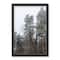 Dusty Trees Black Framed Print Under Plexiglass